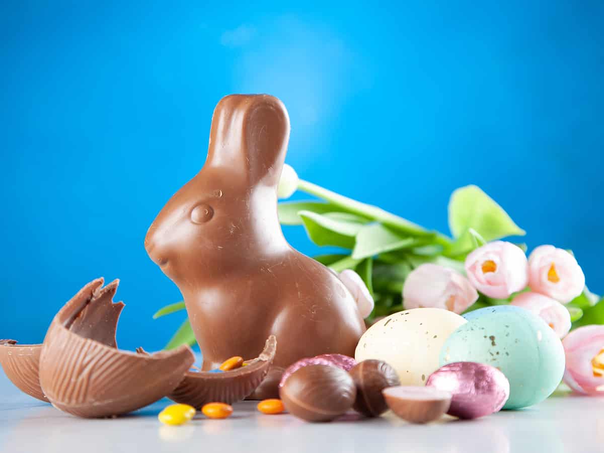 Osterhase aus Schokolade